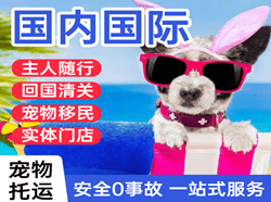 昌北航空托运国际宠物托运 【国